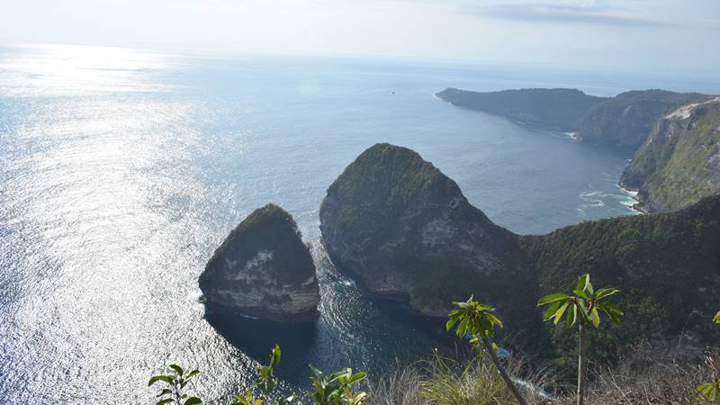 Awesome Paluang Cliff Nusa Penida Nusa Penida Tours